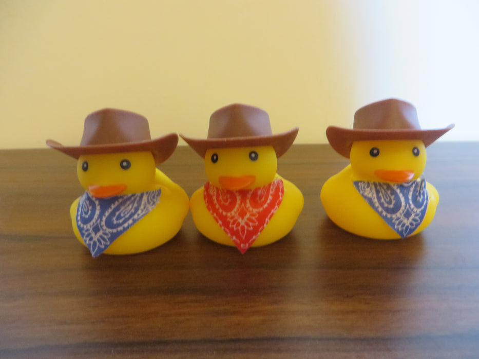 Cowboy Rubber ducks with Western hats and scarves - set of three ducks as shown