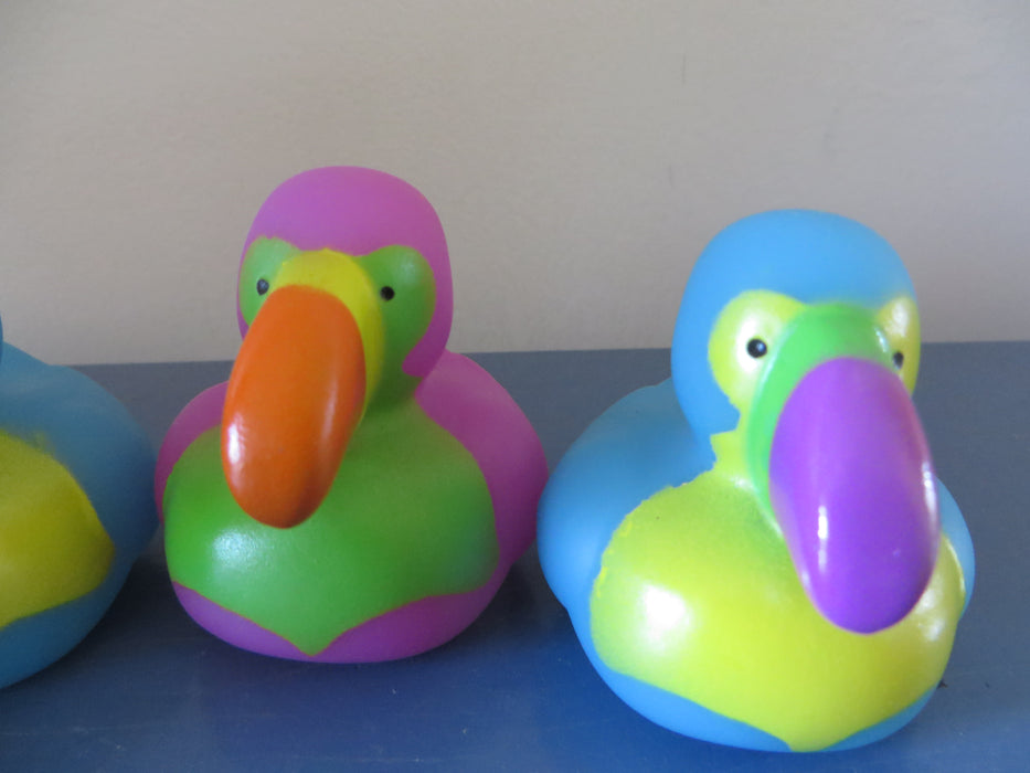 Toucan Rubber ducks - set of two rubber ducks